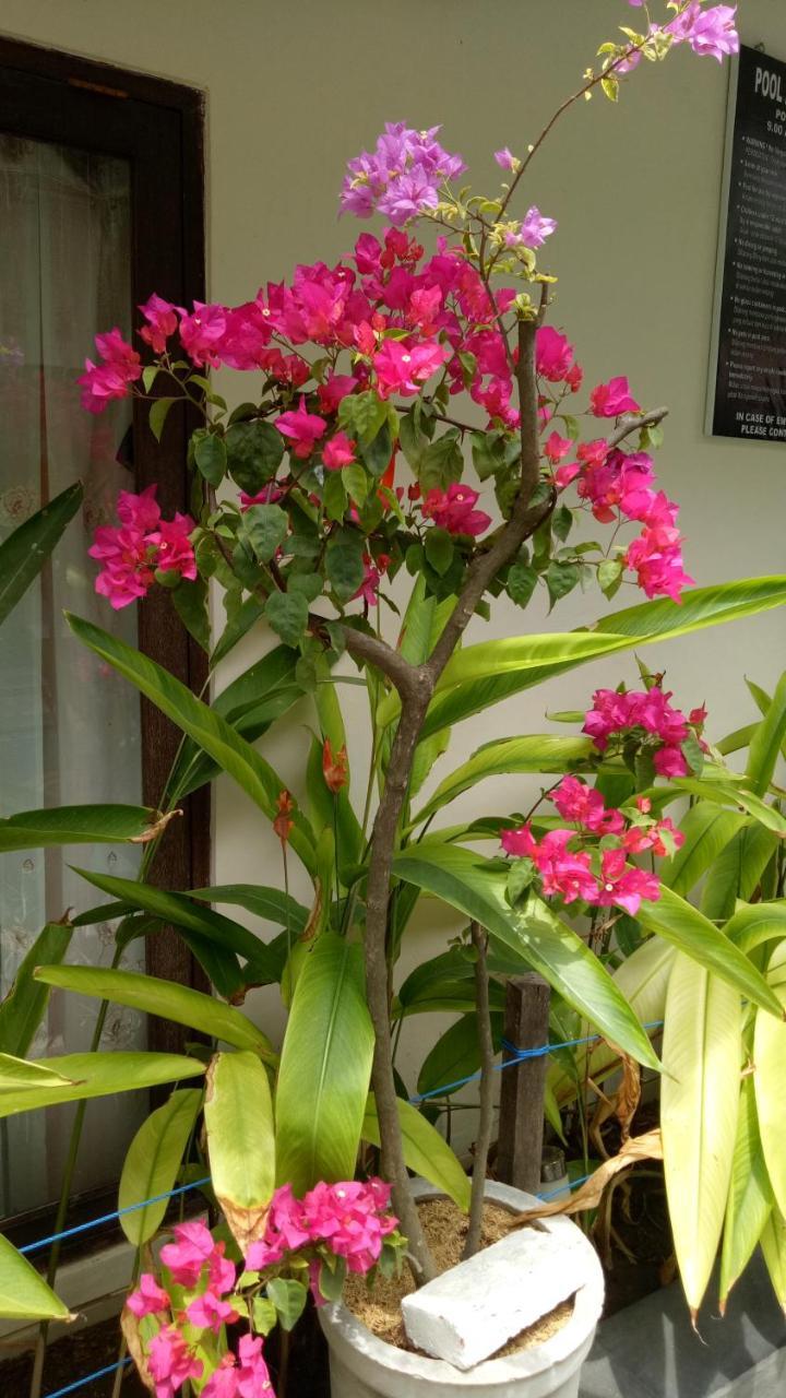 דירות Legian Pujihouse One מראה חיצוני תמונה