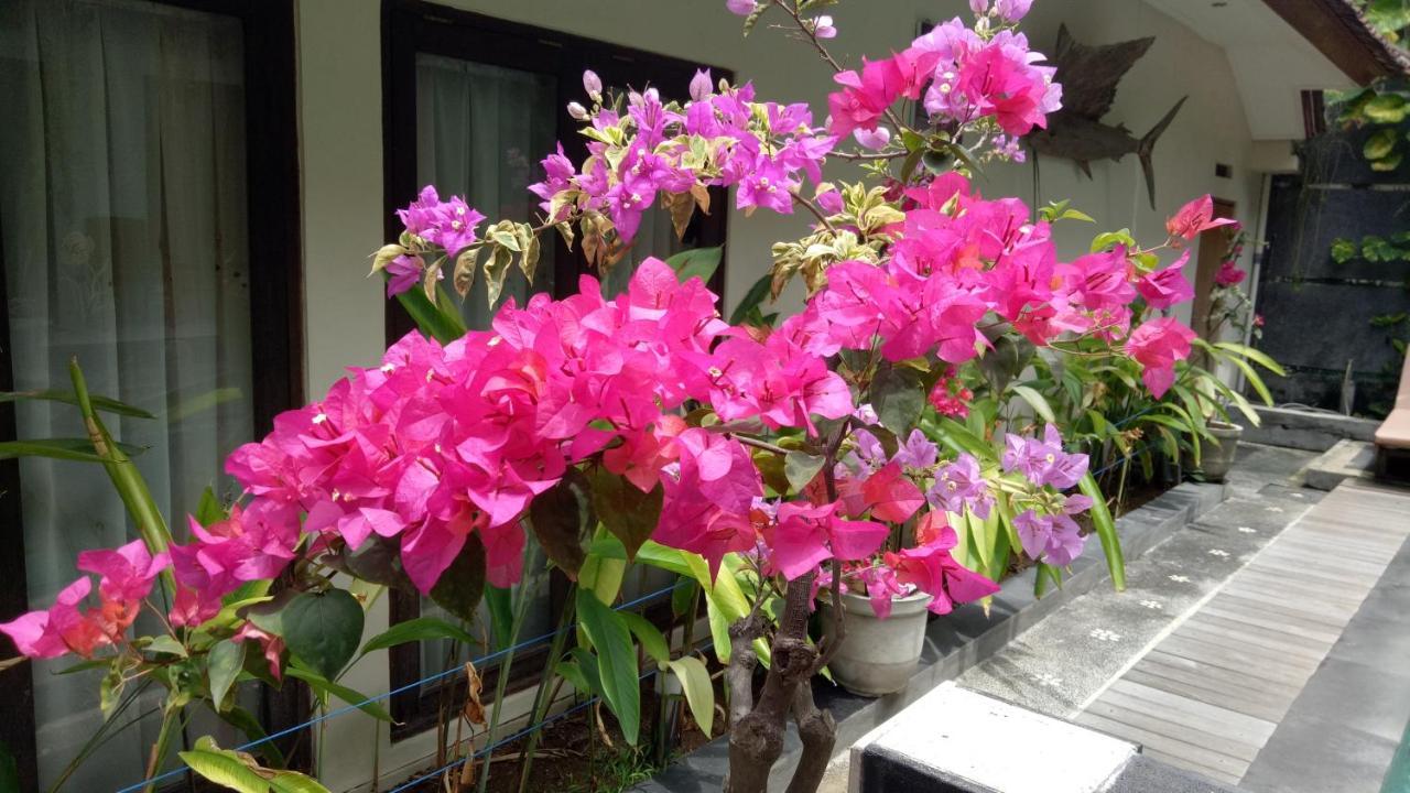 דירות Legian Pujihouse One מראה חיצוני תמונה
